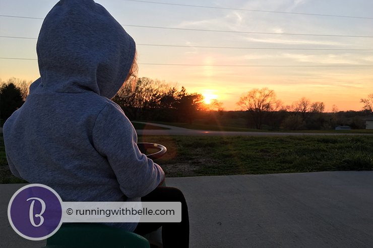 Belle staring at the sunset